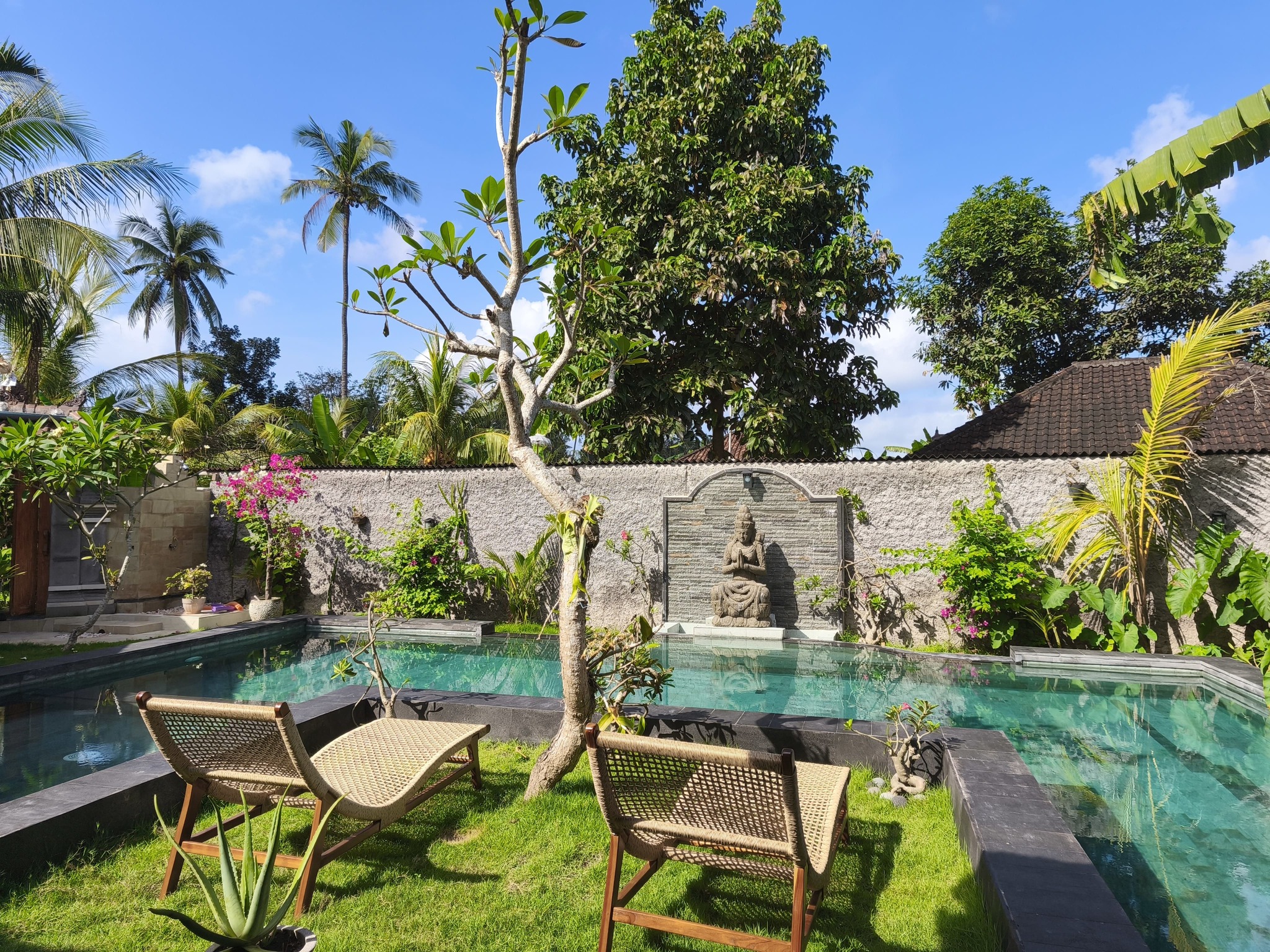 Pool and Garden